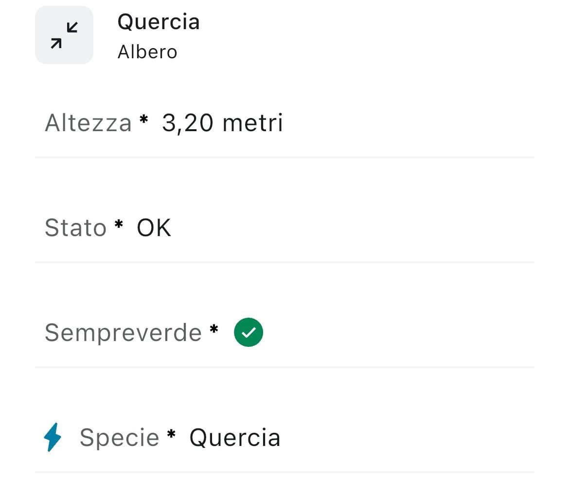 1_Attributi (On Screen).jpg