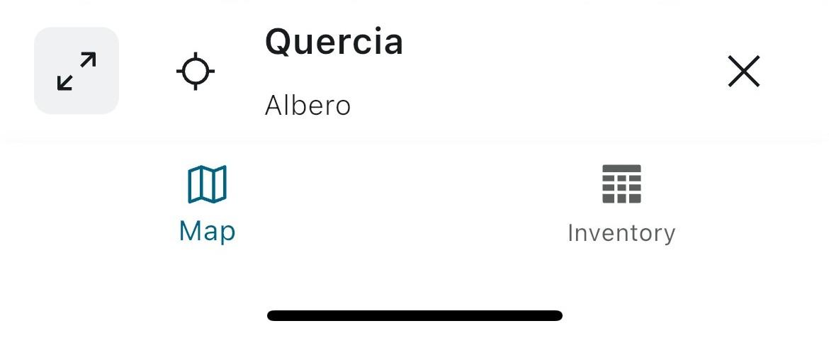 3_Main Attribute.jpg