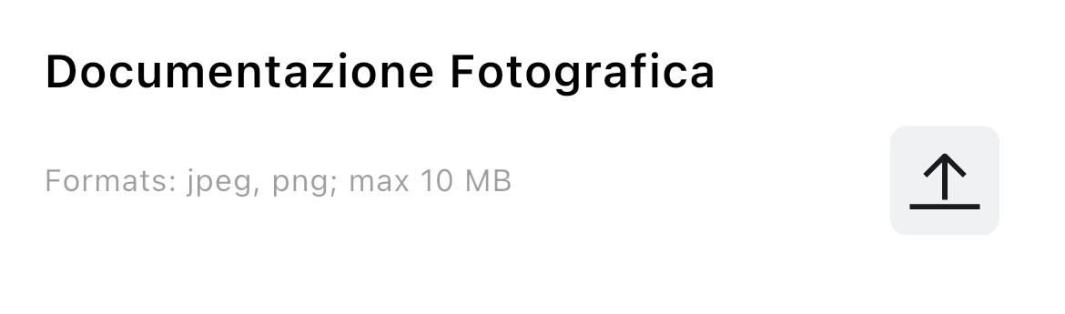 9 - Attribute Type Allegato.jpg