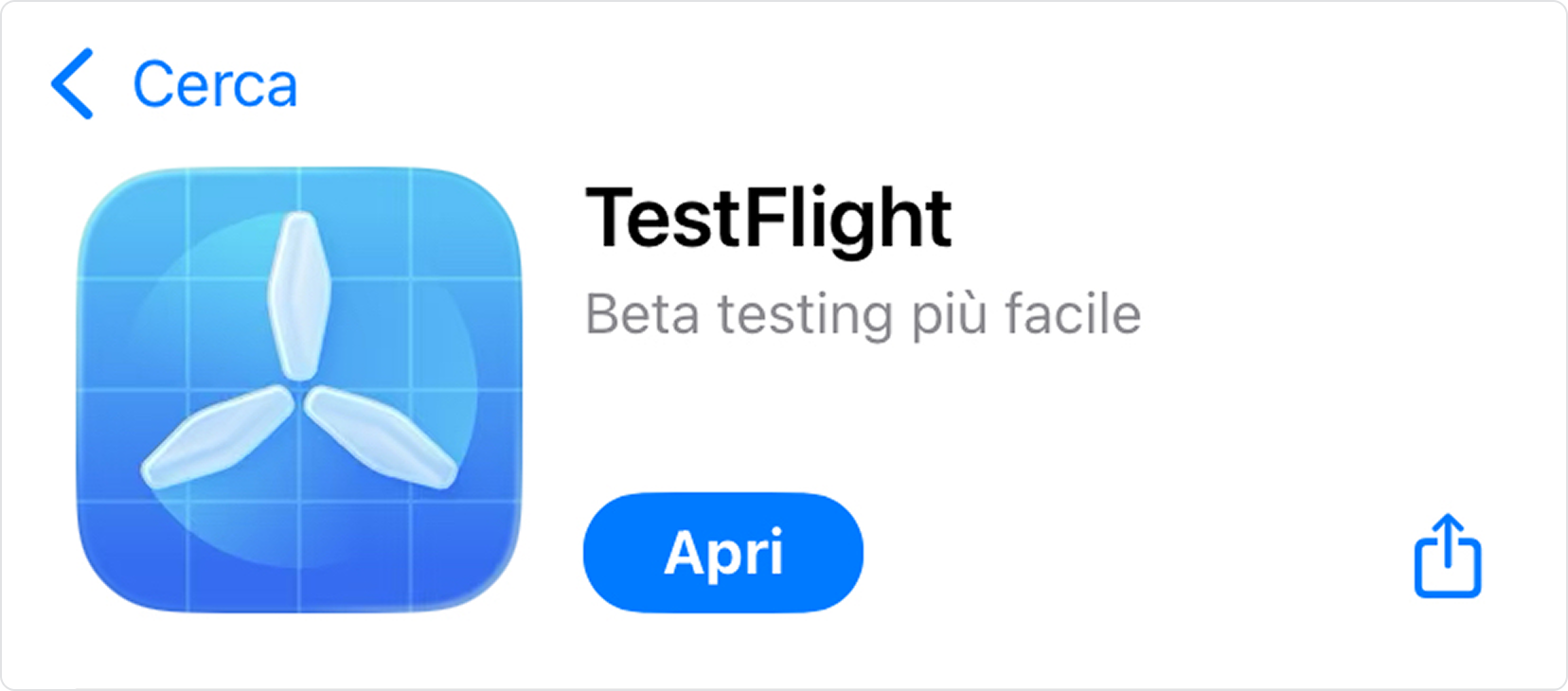 5 - Installa TestFlight.jpg