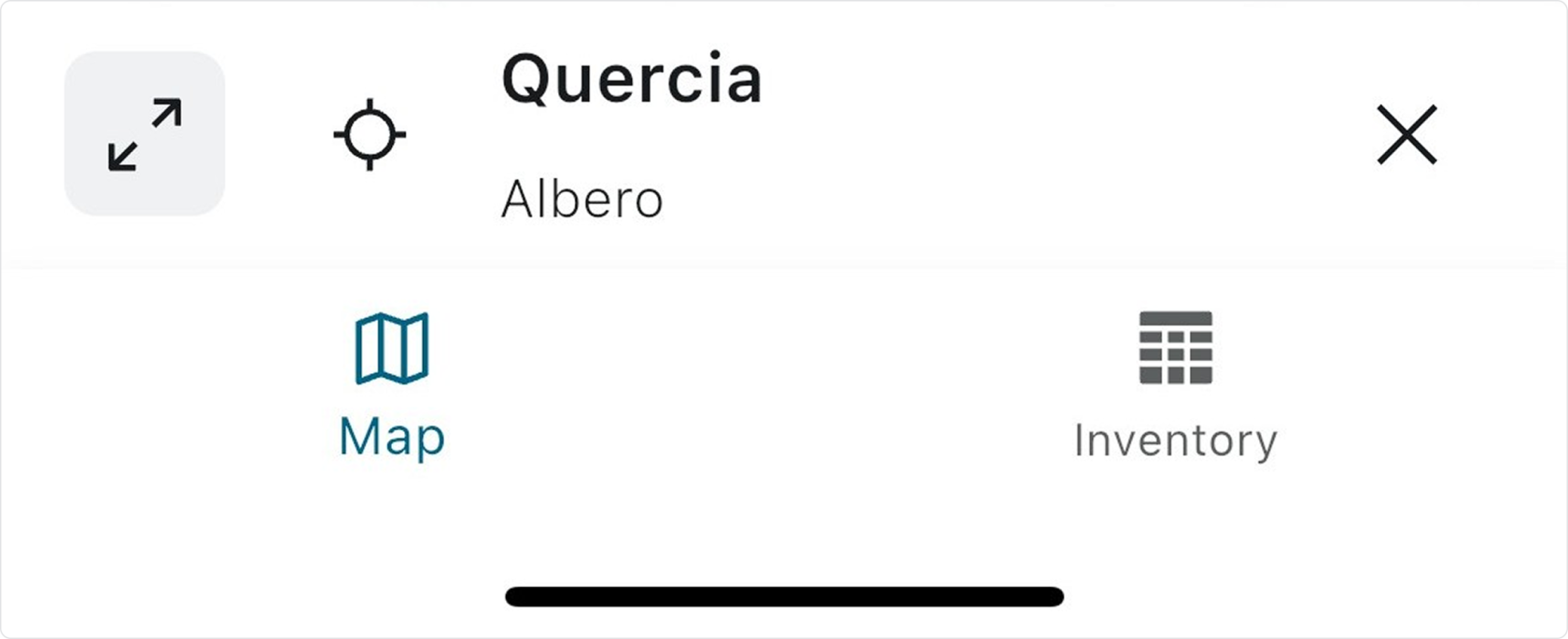 3 - Main Attribute.jpg